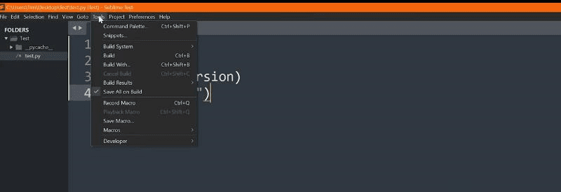Setting up Sublime text for code compile